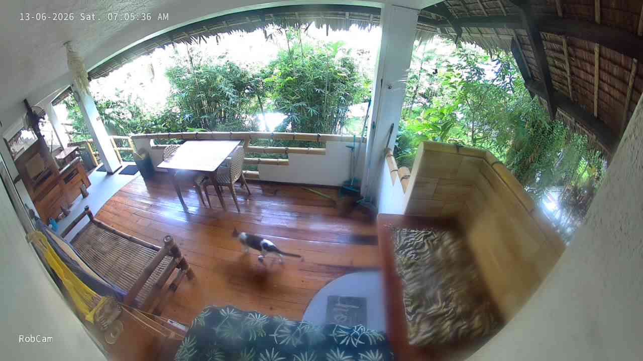 Latest Rob-Cam Image is up- loading or incompete, wait for the next one